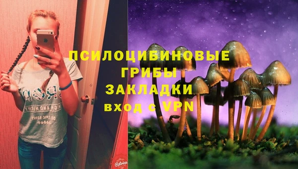 соль курить ск Надым