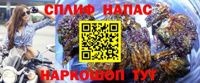гидра Канаш
