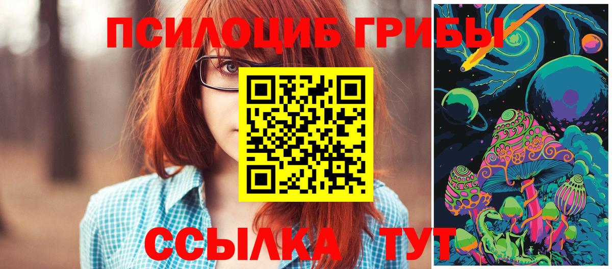 Галлюциногенные грибы MAGIC MUSHROOMS  Тавда  Галлюциногенные грибы GOLDEN TEACHER 