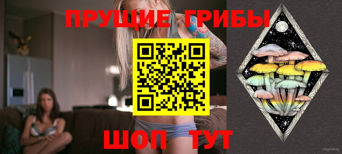 Псилоцибиновые грибы Psilocybine cubensis  Псилоцибиновые грибы MAGIC MUSHROOMS  Тавда  Вход с VPN 