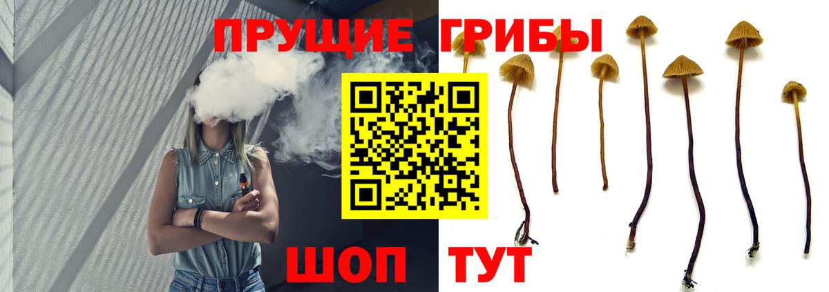 Псилоцибиновые грибы прущие грибы Тавда
